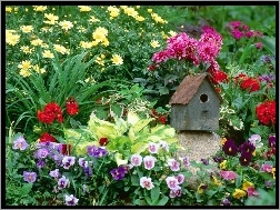 Budka, Kolorowe, Różne, Ogród, Kwiatki